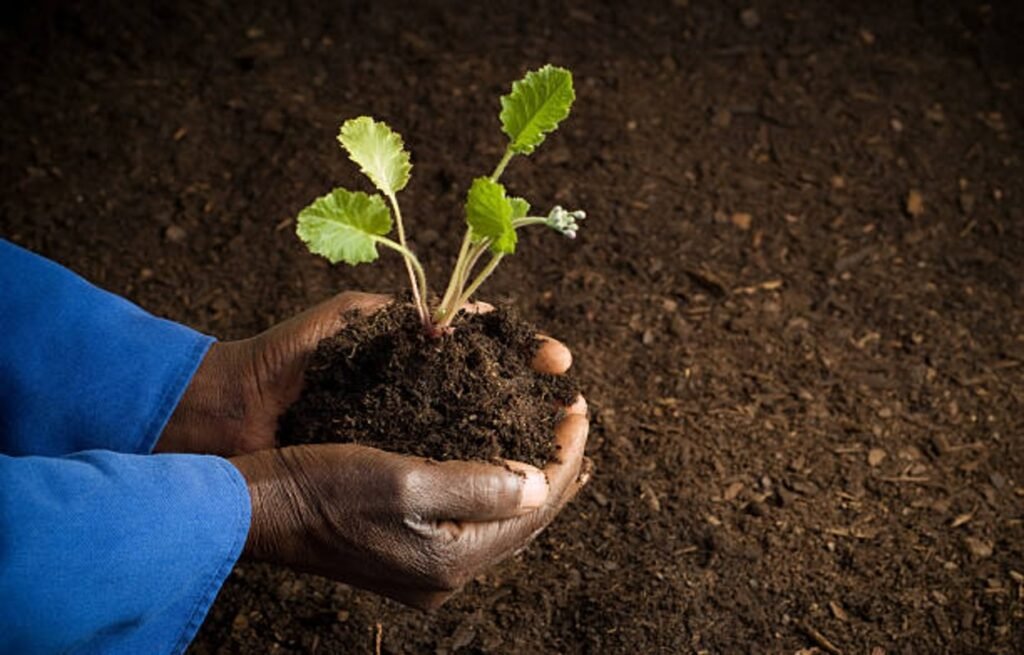 Social Welfare & Empowerment